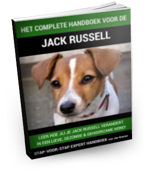 Welke hondenbrokken zijn de beste voor Jack Russells?