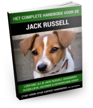 Jack Russell Trainingsboek